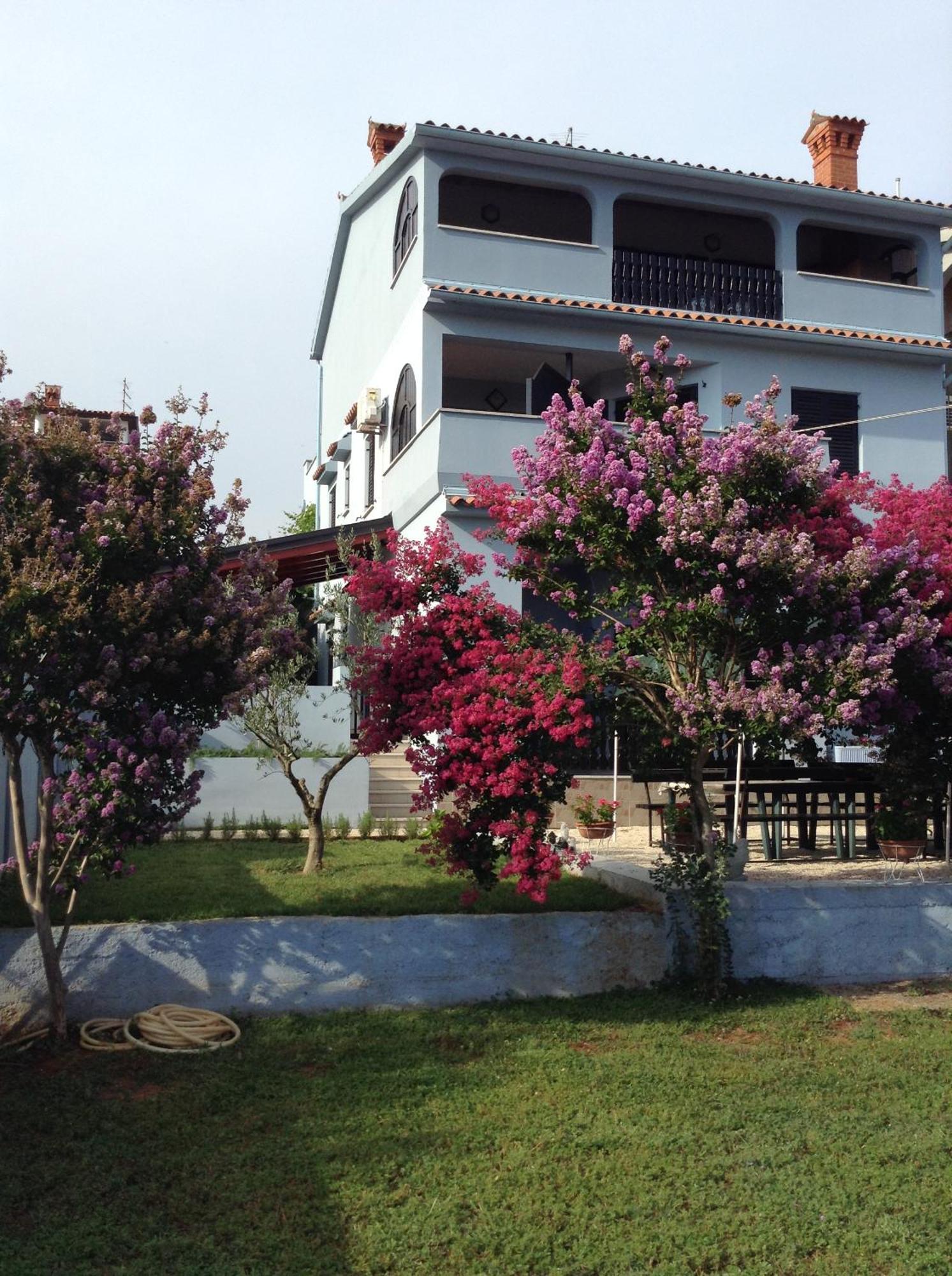 The Blue House Daire Vinkuran Dış mekan fotoğraf