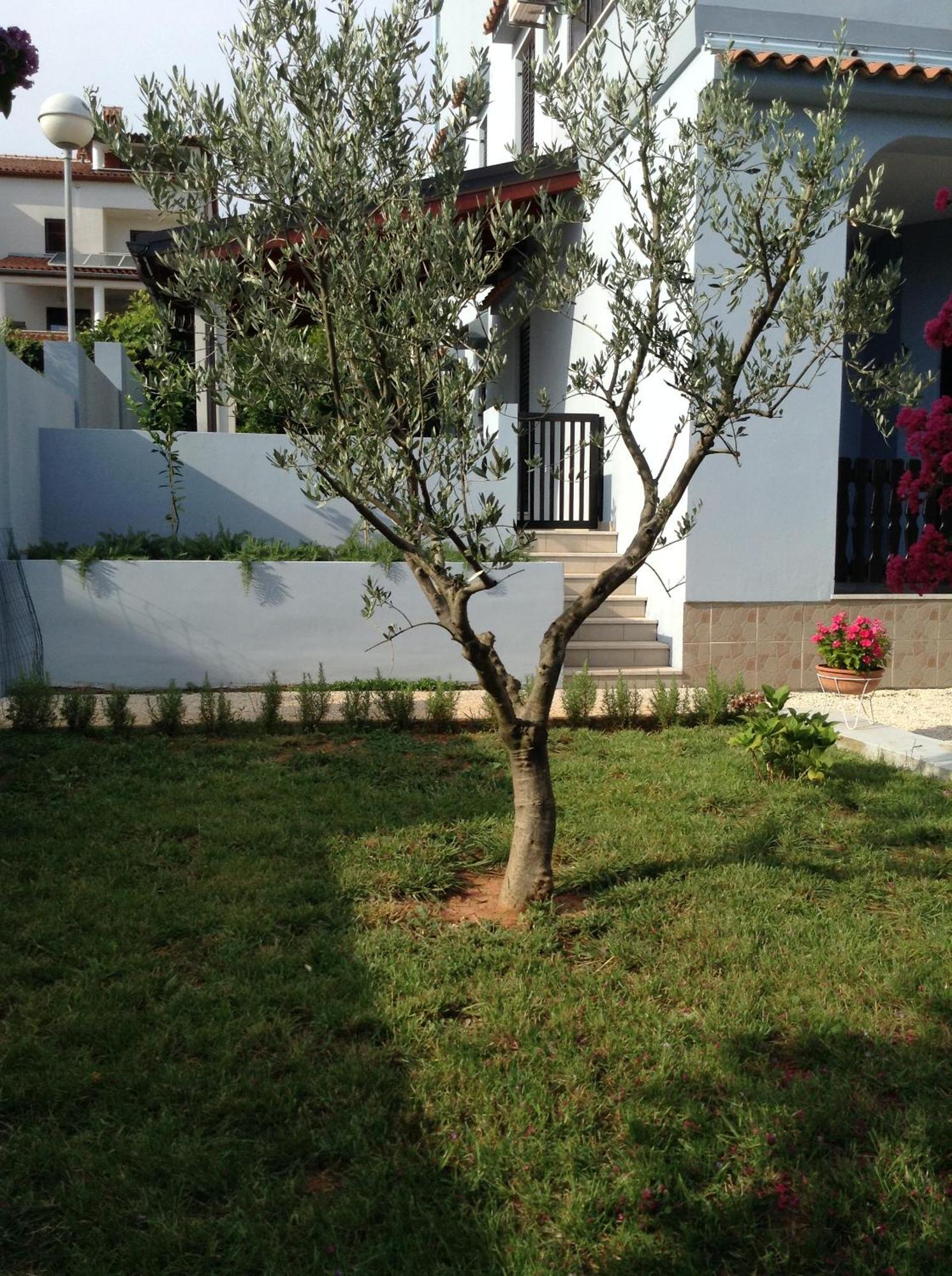 The Blue House Daire Vinkuran Dış mekan fotoğraf