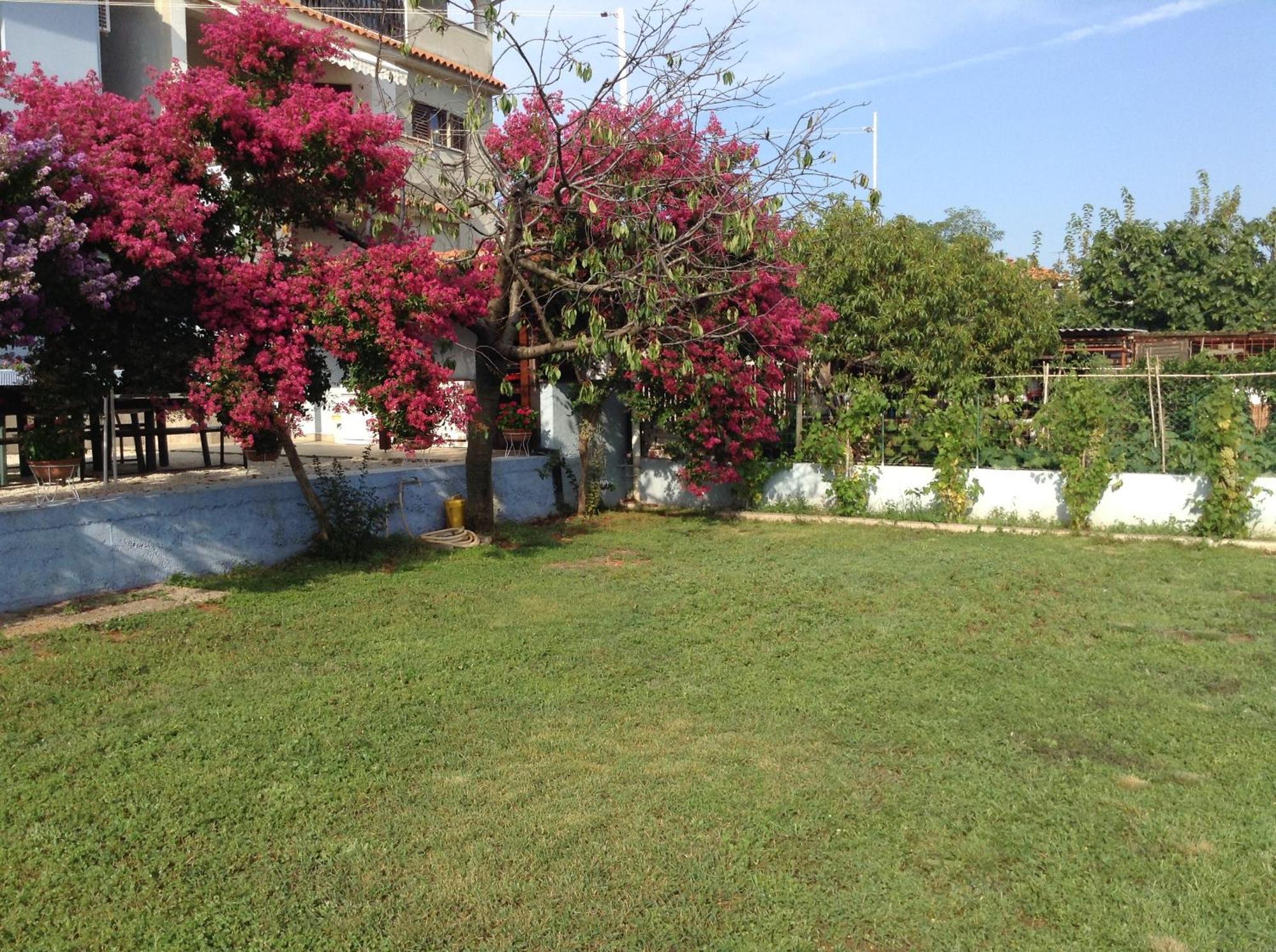The Blue House Daire Vinkuran Dış mekan fotoğraf